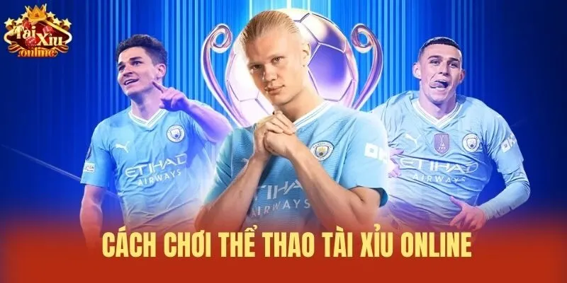 C&aacute;ch chơi Thể thao T&agrave;i xỉu online