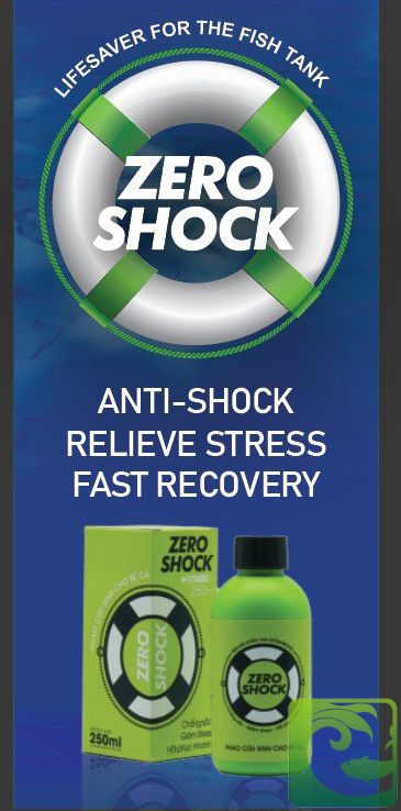ZERO SHOCK - Chống shock nước – Giúp Cá Cảnh Khỏe Mạnh 4