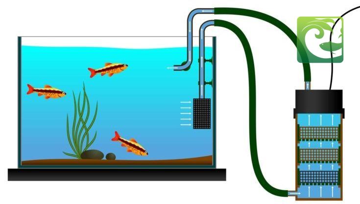 hệ thống lọc bể cá, cách tính công suất lọc bể cá, tính công suất máy bơm cho bể cá, lọc cho bể thủy sinh, lọc bể cá thủy sinh, máy lọc bể cá thủy sinh